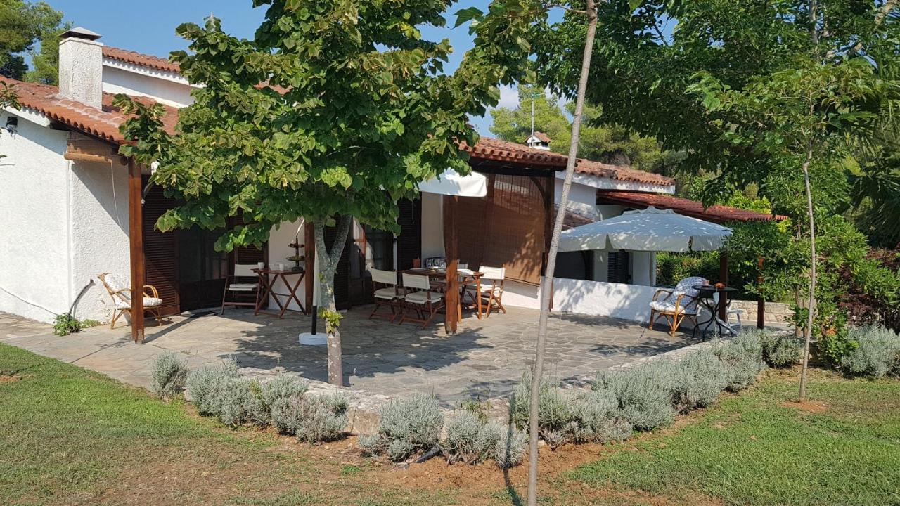 Konstantinos'S Luxury Residence Sani Sani  Exteriör bild