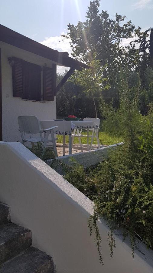 Konstantinos'S Luxury Residence Sani Sani  Exteriör bild