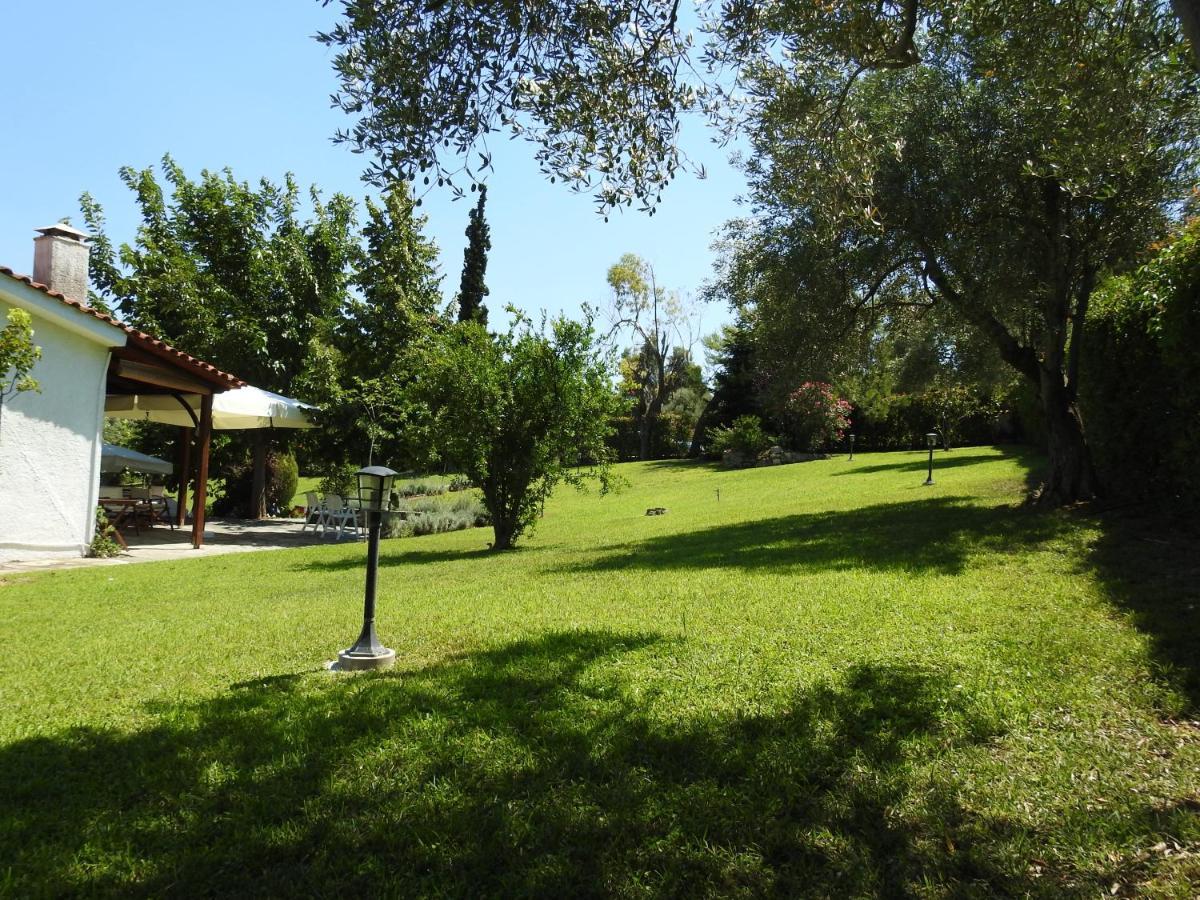 Konstantinos'S Luxury Residence Sani Sani  Exteriör bild